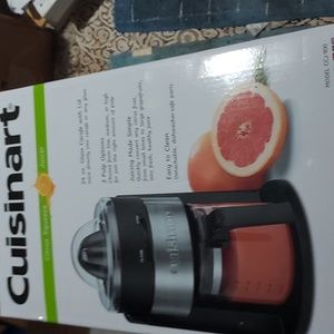 Electric juicer
